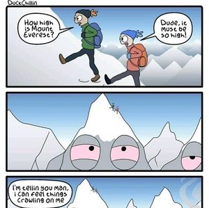 Meet your Posher, Creth